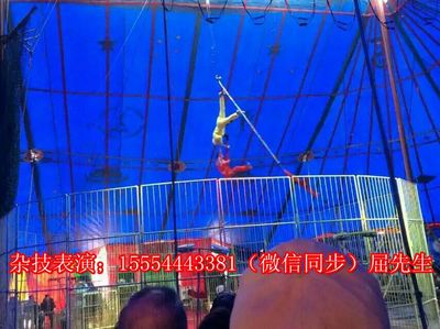 貴州黔東南苗族侗族自治州錦屏縣哪里有出租海獅的嗎?_山東誠信動物租賃 - 商國互聯網