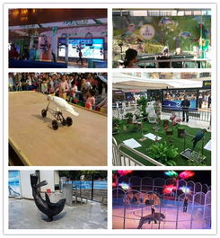 成都馬戲團表演出租新聞ht租賃圈資訊