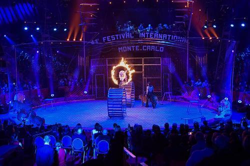 福州專業馬戲團租賃服務與大型展覽演出公司