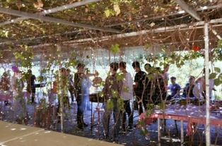 北京庫房租賃與馬戲團表演合作 一站式資源指南