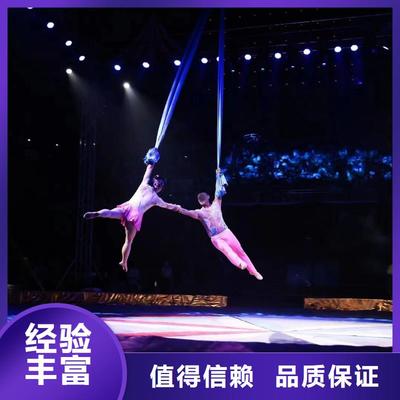 馬戲團羊駝海獅表演與冰雕展出租賃 高性價比的優質選擇