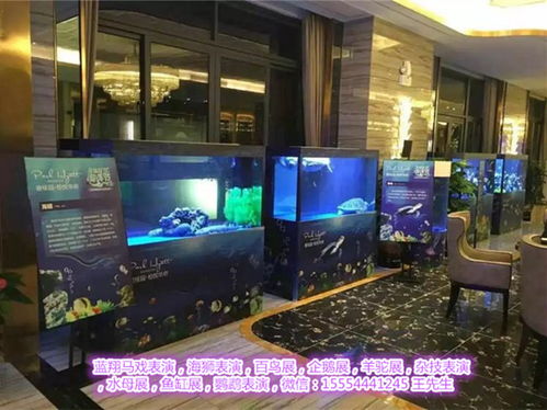 肇慶馬戲團表演出租 為各類活動增添歡笑的專業選擇